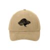 Brushed Twill Cap Thumbnail