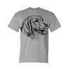 DryBlend® T-Shirt Thumbnail