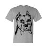 DryBlend® T-Shirt Thumbnail