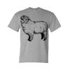 DryBlend® T-Shirt Thumbnail