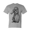 DryBlend® T-Shirt Thumbnail