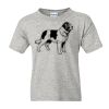 DryBlend® Youth T-Shirt Thumbnail